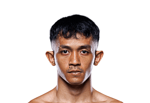 Delfan Dwi Satrio Avatar