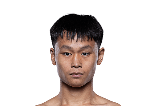 Wang Yuhan Avatar